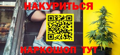 спиды Гатчина