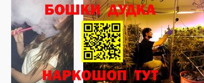 спиды Гатчина