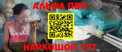 спиды Гатчина